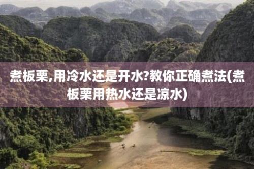 煮板栗,用冷水还是开水?教你正确煮法(煮板栗用热水还是凉水)