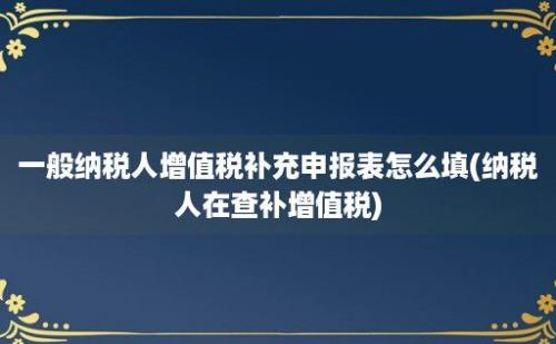 一般纳税人增值税补充申报表怎么填(纳税人在查补增值税)