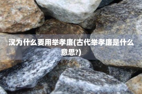 汉为什么要用举孝廉(古代举孝廉是什么意思?)