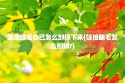 嫁接睫毛自己怎么卸掉下来(嫁接睫毛怎么卸掉?)