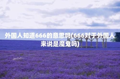 外国人知道666的意思吗(666对于外国人来说是魔鬼吗)