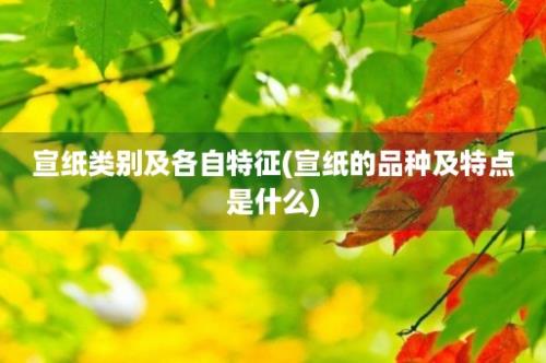 宣纸类别及各自特征(宣纸的品种及特点是什么)