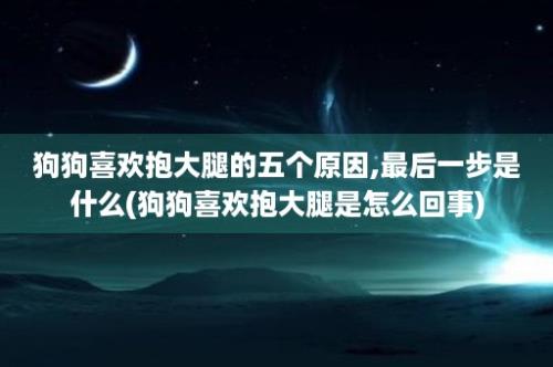 狗狗喜欢抱大腿的五个原因,最后一步是什么(狗狗喜欢抱大腿是怎么回事)