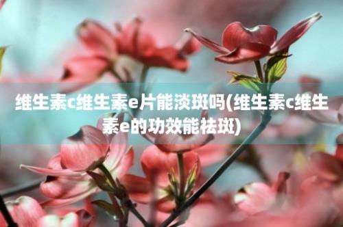 维生素c维生素e片能淡斑吗(维生素c维生素e的功效能祛斑)