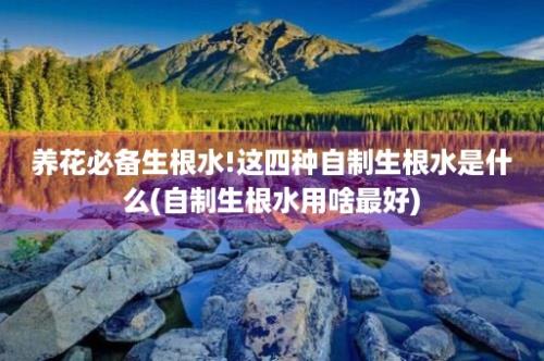 养花必备生根水!这四种自制生根水是什么(自制生根水用啥最好)