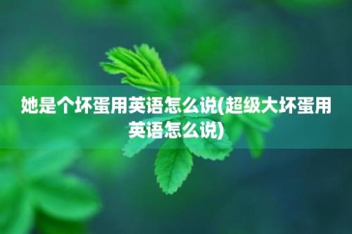 她是个坏蛋用英语怎么说(超级大坏蛋用英语怎么说)