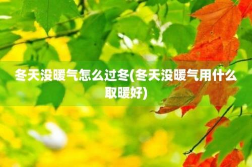 冬天没暖气怎么过冬(冬天没暖气用什么取暖好)