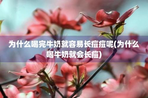 为什么喝完牛奶就容易长痘痘呢(为什么喝牛奶就会长痘)