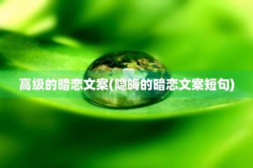 高级的暗恋文案(隐晦的暗恋文案短句)