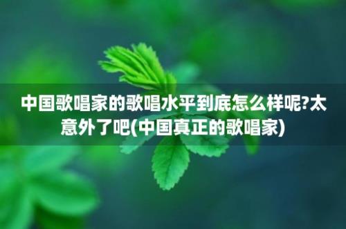 中国歌唱家的歌唱水平到底怎么样呢?太意外了吧(中国真正的歌唱家)