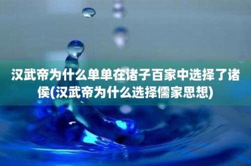 汉武帝为什么单单在诸子百家中选择了诸侯(汉武帝为什么选择儒家思想)