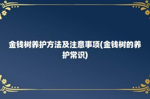 金钱树养护方法及注意事项(金钱树的养护常识)