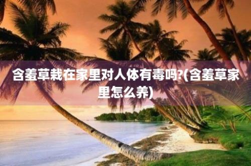 含羞草栽在家里对人体有毒吗?(含羞草家里怎么养)