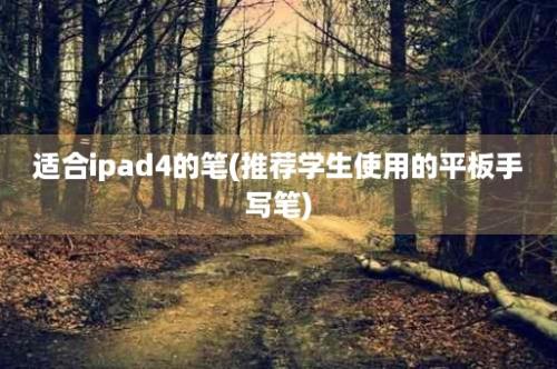 适合ipad4的笔(推荐学生使用的平板手写笔)