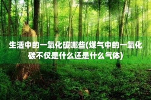 生活中的一氧化碳哪些(煤气中的一氧化碳不仅是什么还是什么气体)