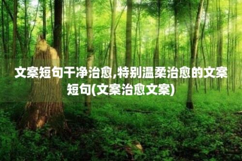 文案短句干净治愈,特别温柔治愈的文案短句(文案治愈文案)