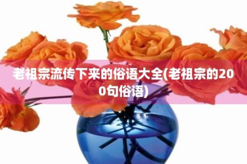 老祖宗流传下来的俗语大全(老祖宗的200句俗语)