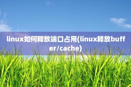 linux如何释放端口占用(linux释放buffer/cache)