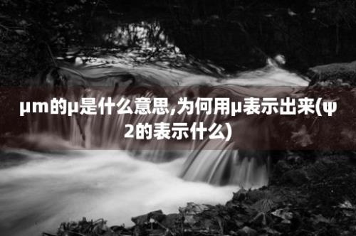 μm的μ是什么意思,为何用μ表示出来(ψ2的表示什么)