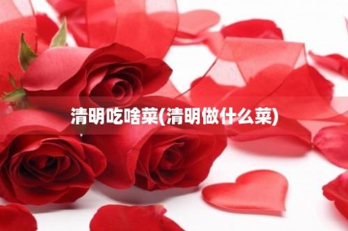 清明吃啥菜(清明做什么菜)