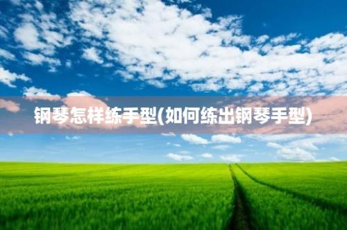 钢琴怎样练手型(如何练出钢琴手型)