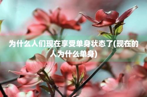 为什么人们现在享受单身状态了(现在的人为什么单身)