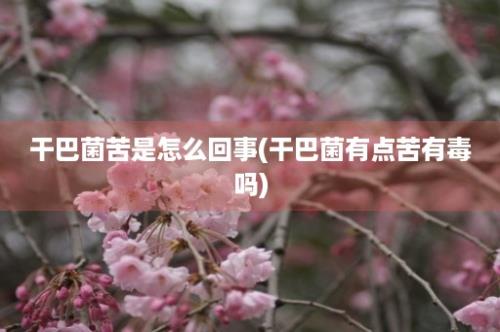 干巴菌苦是怎么回事(干巴菌有点苦有毒吗)