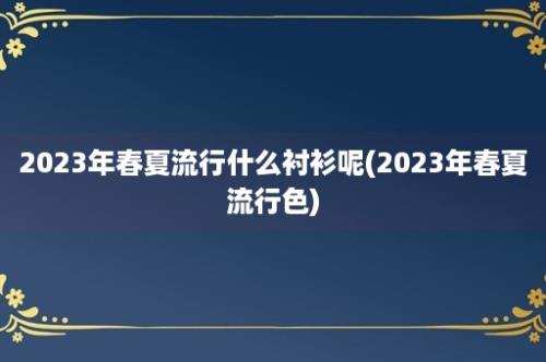 2023年春夏流行什么衬衫呢(2023年春夏流行色)