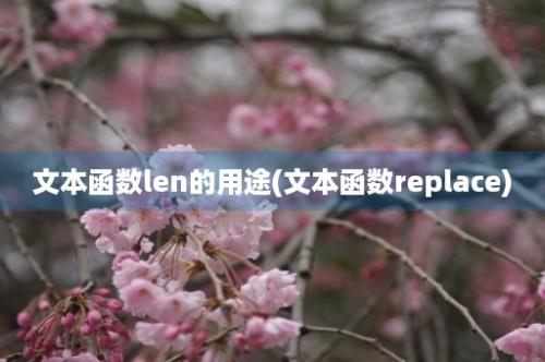 文本函数len的用途(文本函数replace)