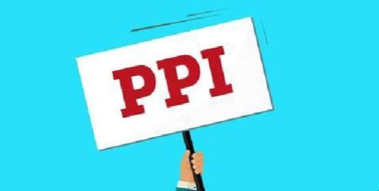 PPI是什么意思