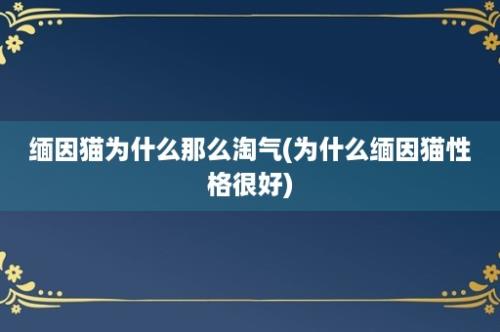 缅因猫为什么那么淘气(为什么缅因猫性格很好)