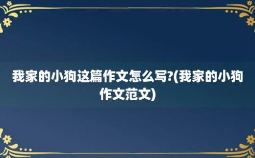 我家的小狗这篇作文怎么写?(我家的小狗作文范文)