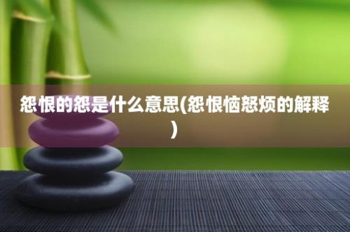 怨恨的怨是什么意思(怨恨恼怒烦的解释)