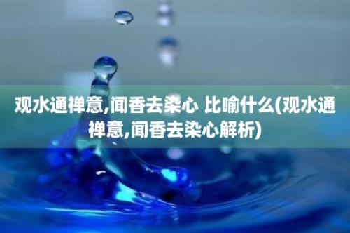 观水通禅意,闻香去染心 比喻什么(观水通禅意,闻香去染心解析)