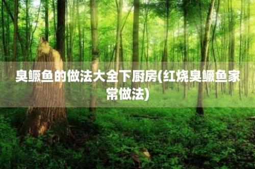 臭鳜鱼的做法大全下厨房(红烧臭鳜鱼家常做法)