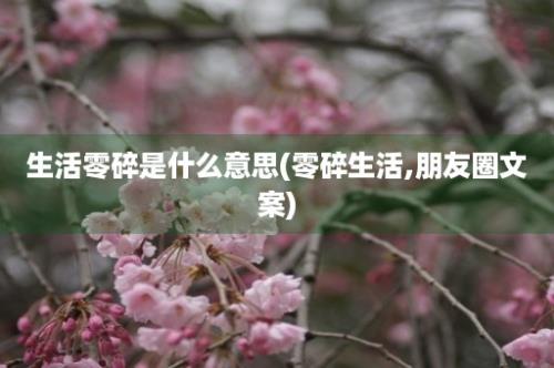 生活零碎是什么意思(零碎生活,朋友圈文案)