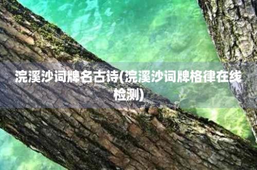 浣溪沙词牌名古诗(浣溪沙词牌格律在线检测)