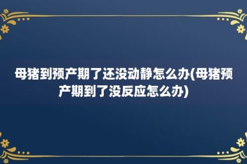 母猪到预产期了还没动静怎么办(母猪预产期到了没反应怎么办)