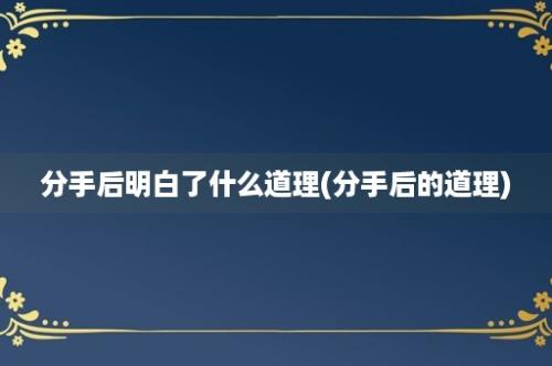 分手后明白了什么道理(分手后的道理)