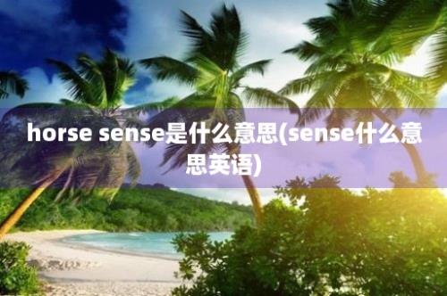 horse sense是什么意思(sense什么意思英语)