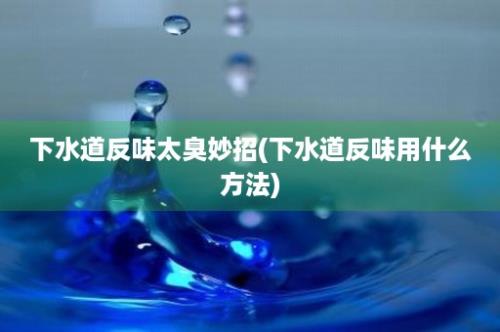 下水道反味太臭妙招(下水道反味用什么方法)