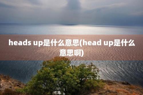 heads up是什么意思(head up是什么意思啊)