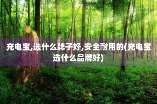 充电宝,选什么牌子好,安全耐用的(充电宝选什么品牌好)