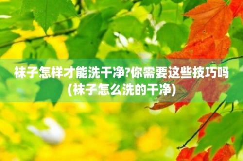 袜子怎样才能洗干净?你需要这些技巧吗(袜子怎么洗的干净)