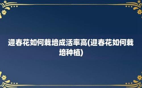 迎春花如何栽培成活率高(迎春花如何栽培种植)