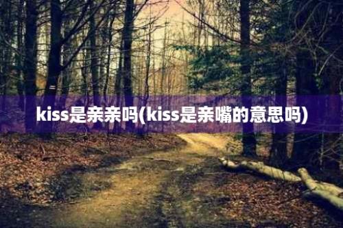 kiss是亲亲吗(kiss是亲嘴的意思吗)