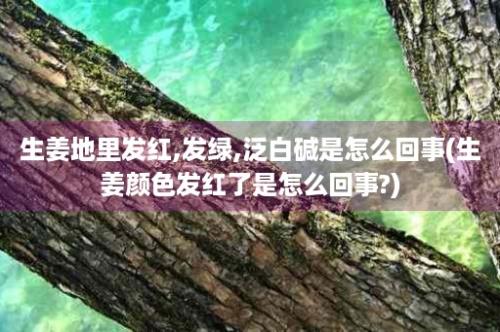 生姜地里发红,发绿,泛白碱是怎么回事(生姜颜色发红了是怎么回事?)