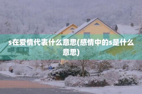 s在爱情代表什么意思(感情中的s是什么意思)