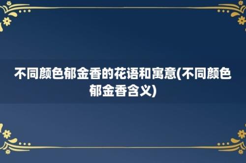 不同颜色郁金香的花语和寓意(不同颜色郁金香含义)