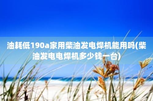 油耗低190a家用柴油发电焊机能用吗(柴油发电电焊机多少钱一台)